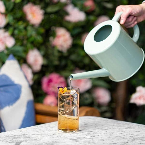 Try the New Saicho Cocktail at the Dalloway Terrace